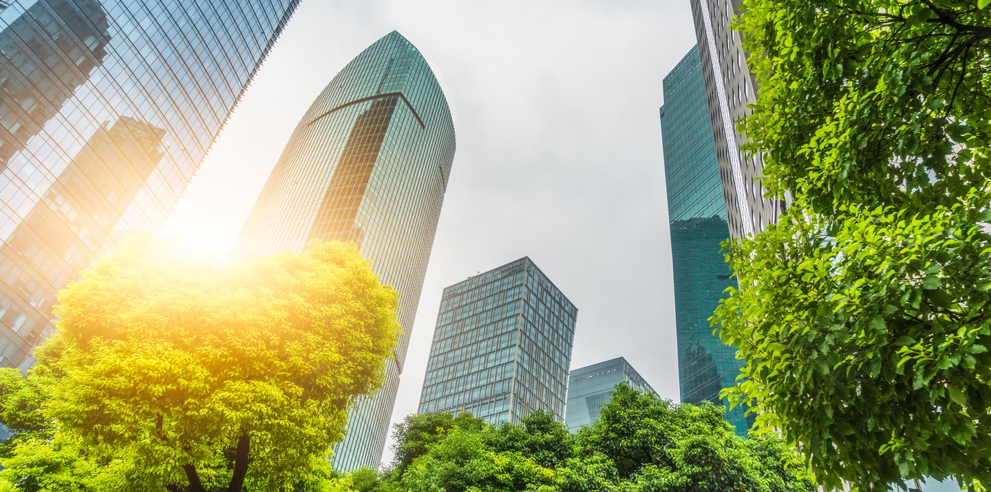 Sunlit skyscrapers